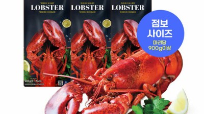 킹랍스타 맛집 탐험기: 핵인싸템 할인 찬스 놓치지 마세요!